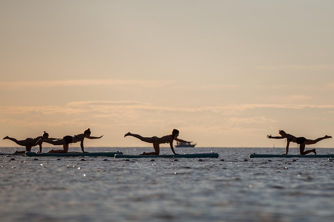 1-Hour Private E Foil Surfing Lessons in Istria - What the GoPro video adds