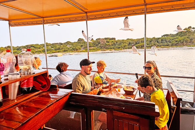 2-Hour Dolphin Guided Safari NP Brijuni from Fazana - Setting out from Fažana at 6 pm