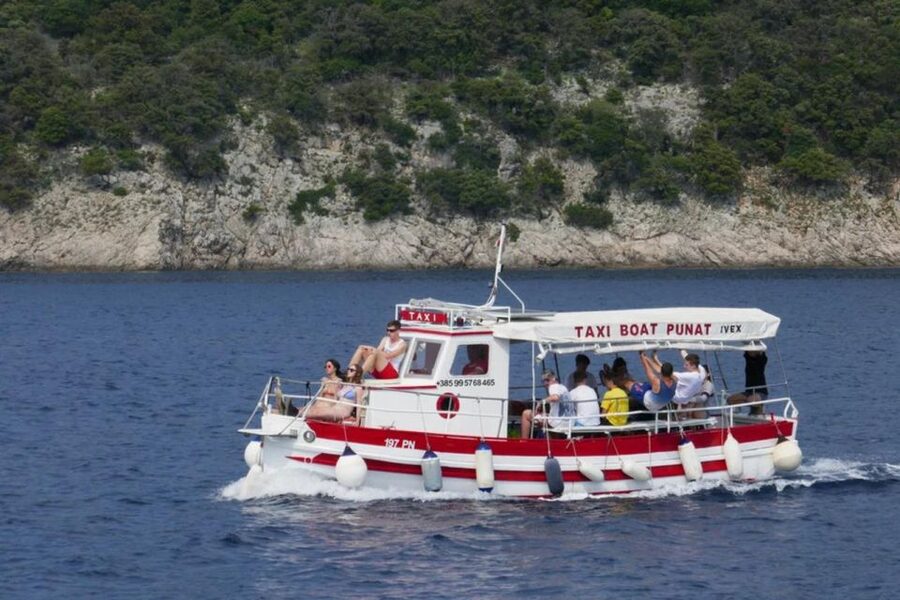 3,5h Wild Bays: Swim & Snorkel with Capt. Bobo (Public) - Key points at a glance