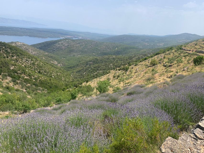 3-Hour Lavender Tour from Hvar - A Different Side of Hvar Above the Coast