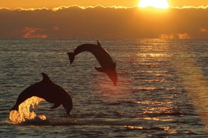 3hours all inclusive Sunset&Dolphin Tour from Medulin on Sandra - Key points to know before boarding
