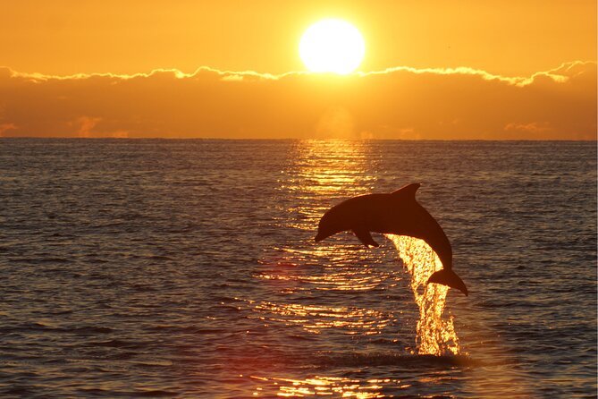 3hours all inclusive Sunset&Dolphin Tour from Medulin on Sandra - Dinner aboard Sandra