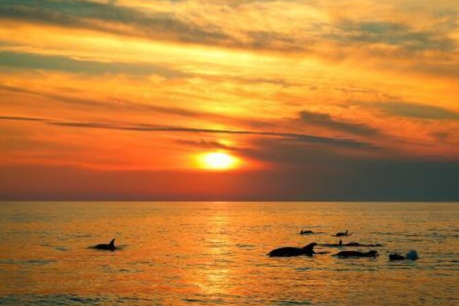 3hours all inclusive Sunset&Dolphin Tour from Medulin on Sandra - Music, seating, and the overall mood
