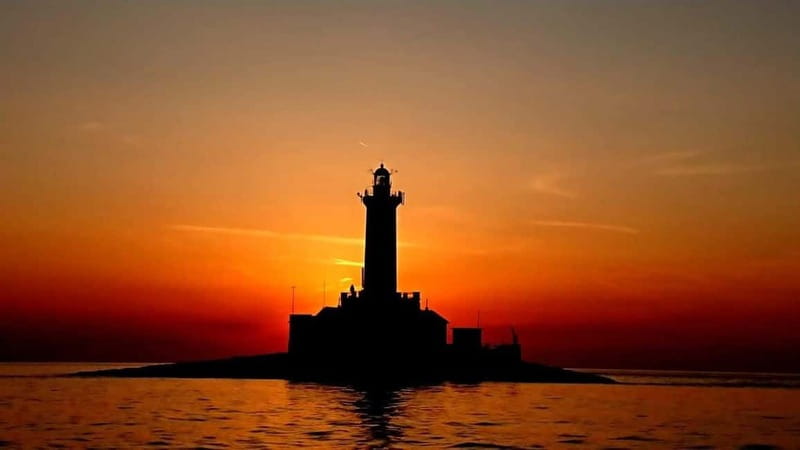 3hours Dolphin Sunset watching with unlimited drinks +dinner - Practical tips for a smoother evening