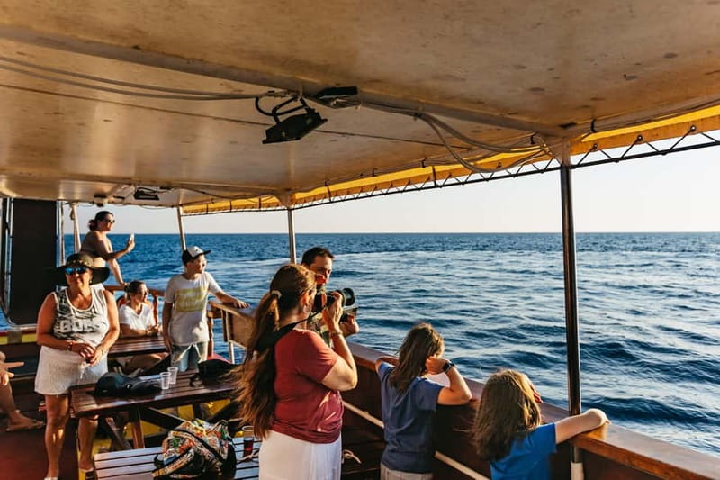 3hours Dolphin Sunset watching with unlimited drinks +dinner - Dinner with fish, meat, or vegetarian choices
