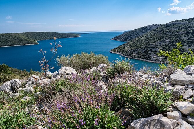 4-hour private boat tour: Discover the beauties of Istria - Why this private Rakalj boat tour works so well