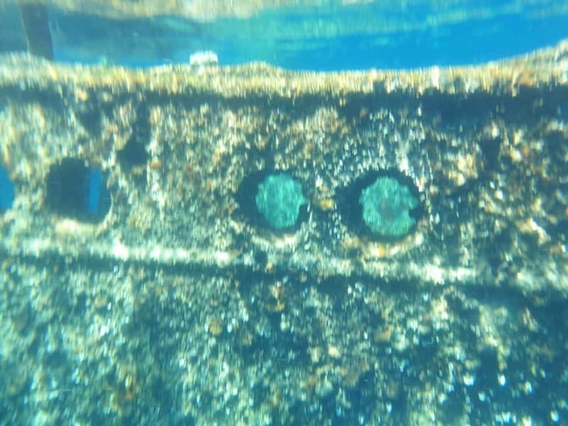 4 Jewels of Zadar, Dugi otok, sunken ship - Half day - What this half-day route does well