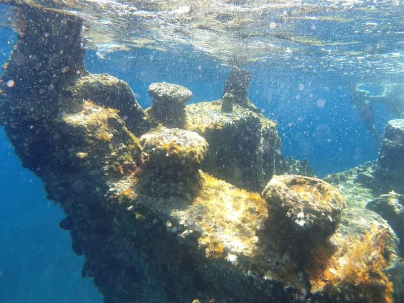 4 Jewels of Zadar, Dugi otok, sunken ship - Half day - Who will enjoy this trip most
