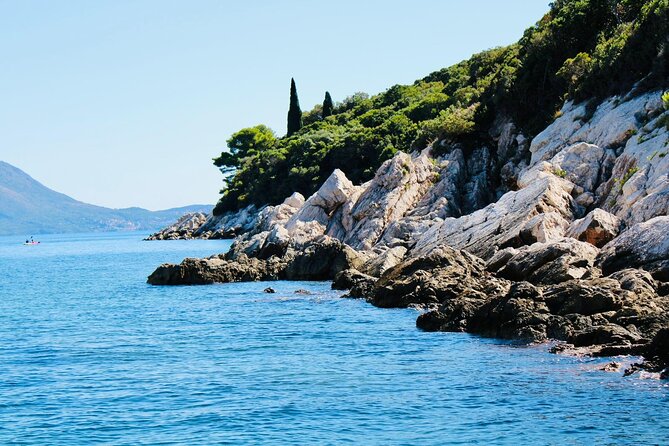 50-minute Panoramic Cruise of Dubrovnik with English Audio Guide - Lokrum Island and the open Adriatic