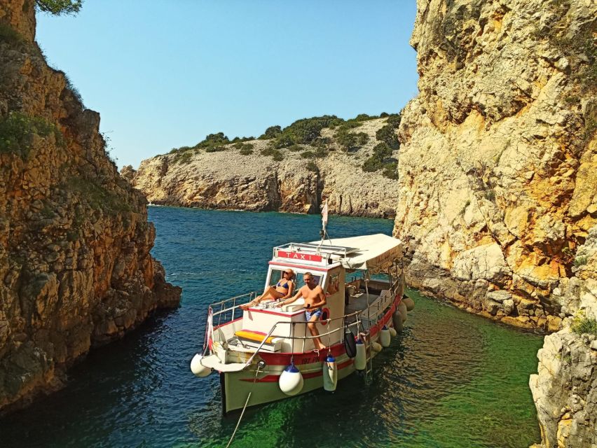 5h Plavnik Island: Swim & Snorkel with Capt. Bobo (Public) - Watching Europe’s largest birds from the sea