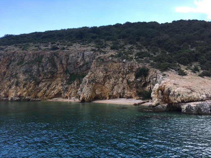 5h Plavnik Island: Swim & Snorkel with Capt. Bobo (Public) - Dolphins, deer and the limits of wildlife luck