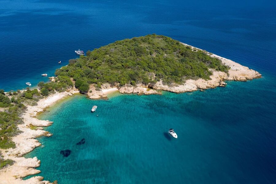 5h Plavnik Island: Swim & Snorkel with Capt. Bobo (Public) - Who will enjoy this outing most?