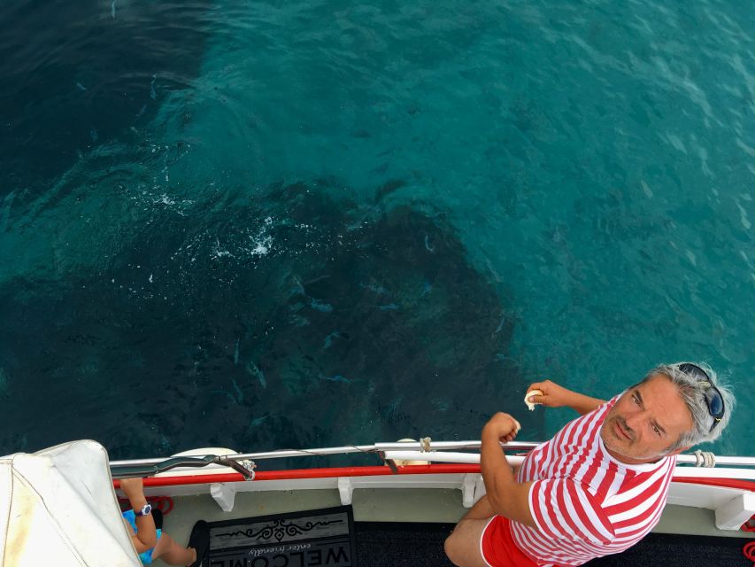 5h Plavnik Island: Swim & Snorkel with Capt. Bobo (Public) - First swim at a small Plavnik beach