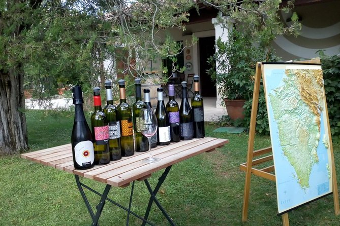 A Sample Of Wine, A Sample Of Istria - A Short But Fulfilled Program - Key points at a glance