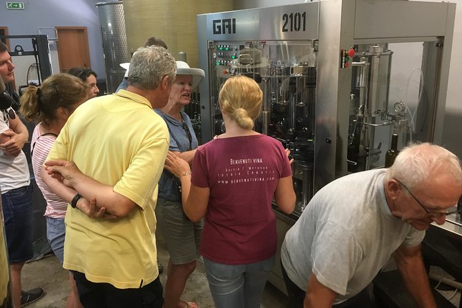 A Sample Of Wine, A Sample Of Istria - A Short But Fulfilled Program - Who should book this tour?