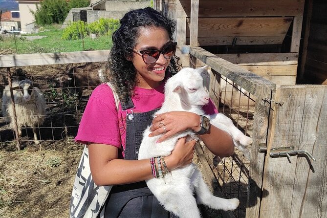 Authentic Garden to Table Cooking Class in Dubrovnik Countryside - Gathering vegetables, eggs, and perhaps goat’s milk