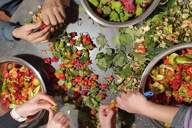Authentic Garden to Table Cooking Class in Dubrovnik Countryside - Family stories while the pots simmer