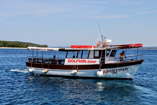 Beautiful Sunset and Dolphin Watching - Key points to know before you book