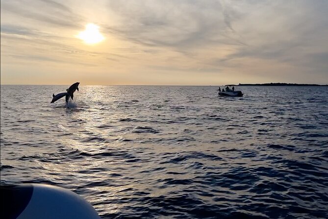Beautiful Sunset and Dolphin Watching - Setting sail from Fažana toward Brijuni