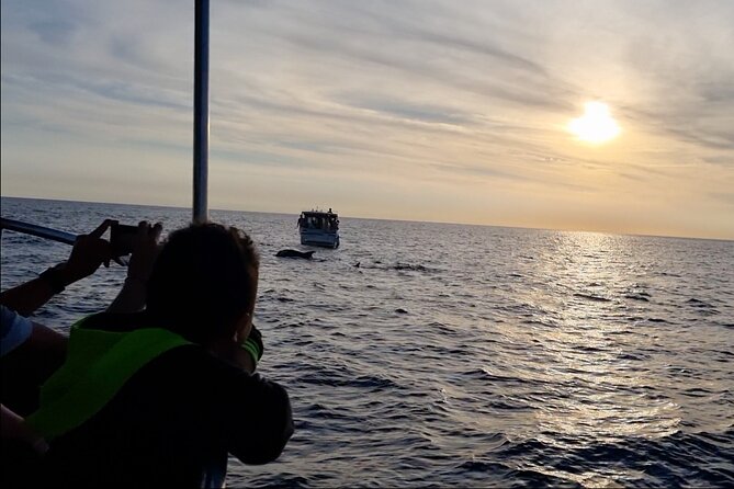 Beautiful Sunset and Dolphin Watching - What the crew adds to the experience