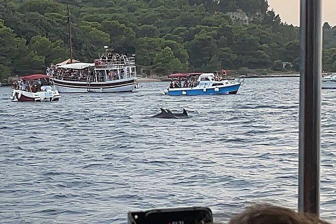 Beautiful Sunset and Dolphin Watching - Is $36.30 a fair price?