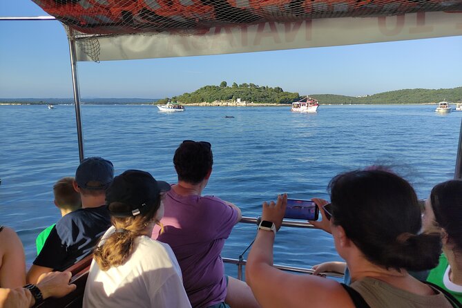 Beautiful Sunset and Dolphin Watching - Who will enjoy this Fažana boat trip most?