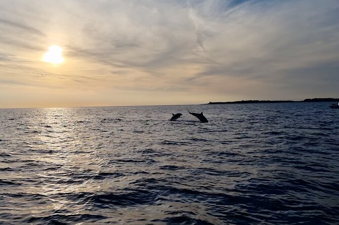 Beautiful Sunset and Dolphin Watching - Practical details for a smoother outing