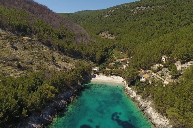 Best of Korcula island winery's by 4X4 Canam buggys with lunch - Two wineries and a taste of island agriculture