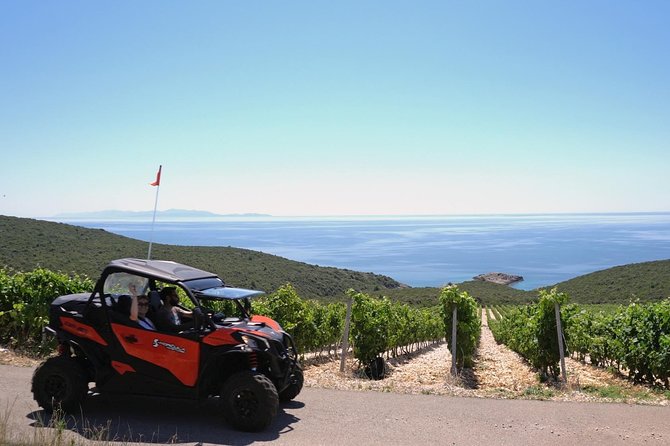 Best of Korcula island winery's by 4X4 Canam buggys with lunch - Driving through vineyards, olive groves, and woodland