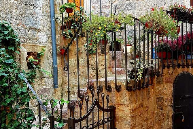 Best of Montenegro and Kotor private tour - What the guide adds to the day