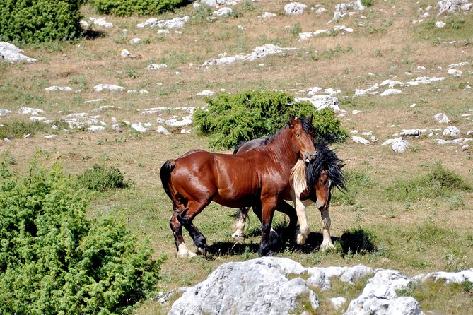 Biokovo Skywalk - Walking to Sinjal at 1,333 meters