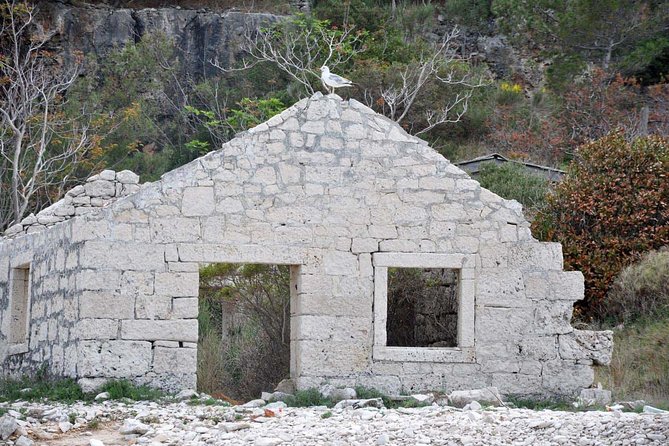 Bits of History - Half day kayak Tour with Wine delight - Gubavac: coffee, Klašun cake, and Grk wine