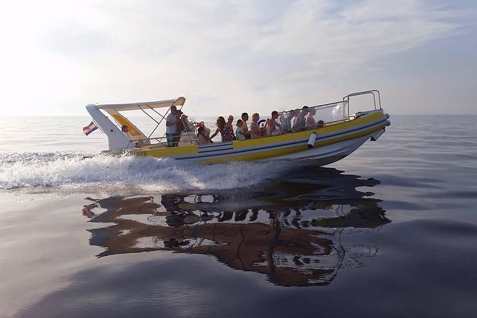 Blue Cave | 5-Hour Afternoon Sea Safari - Key points to know before you book