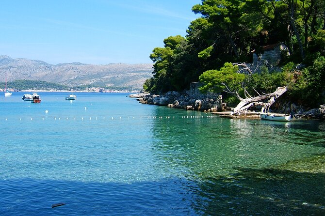 Blue Cave and caves Discovery Dubrovnik - Group Tour by Boat - What this four-hour Dubrovnik boat trip is really like