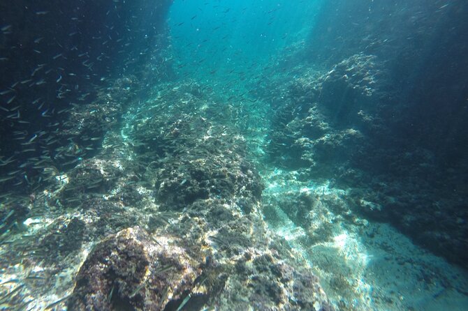 Blue cave tour with a speedboat-small group - Is $84.29 a fair price?