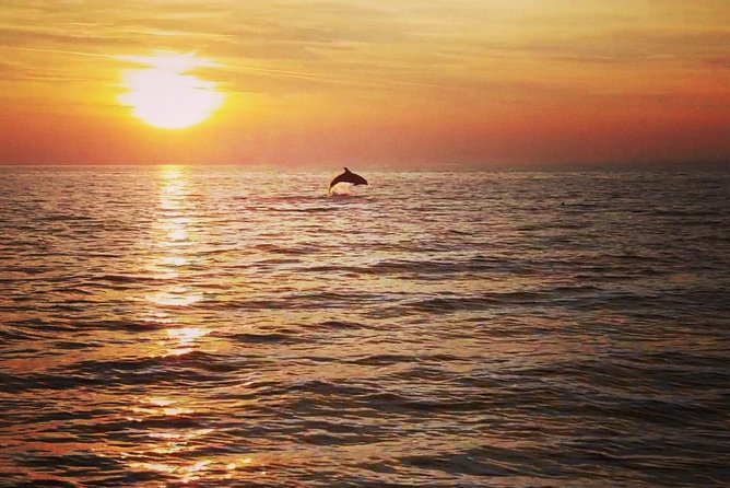 Boat tour swimming snorkeling south Istria Kamenjak Premantura - Is the Kamenjak boat tour worth booking?