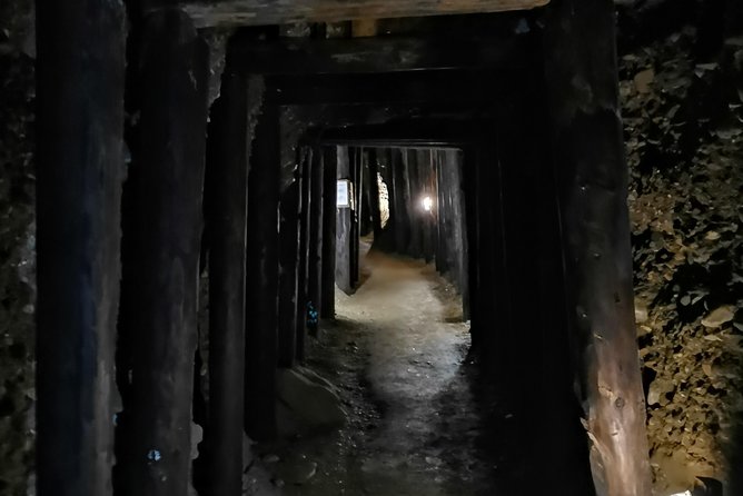 Bosnia & Herzegovina Private Tour - Sarajevo: Four Hours for a First Look