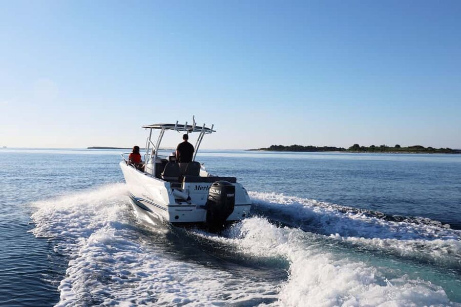 Brijuni Islands: Sunset & Dolphins private boat tour - A possible deer sighting on the return