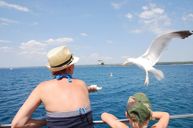 Brijuni National Park Boat Excursion from Pula. With a visit to the island - Is $66.08 a fair price?