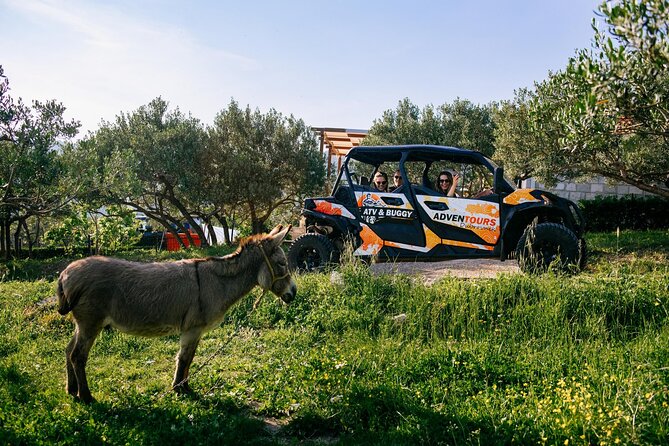 Buggy Dubrovnik Safari Tour (Private) - Mount Srd: wide views after the rough road