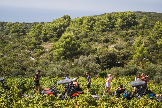 Buggy Safari With Wine Tasting - Why this safari makes sense on Korcula