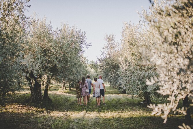 Buje: Authentic Istrian family farm, guided walk, foods & wine - Sitting beneath the tree for an Istrian lunch