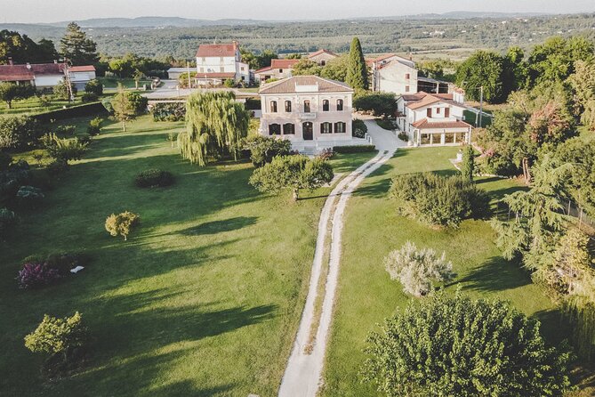 Buje: Authentic Istrian family farm, guided walk, foods & wine - Walking through 31 fruit varieties