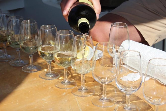 Classic Tour with Wine Tastings from Dubrovnik - Pickup, pace, and what to bring