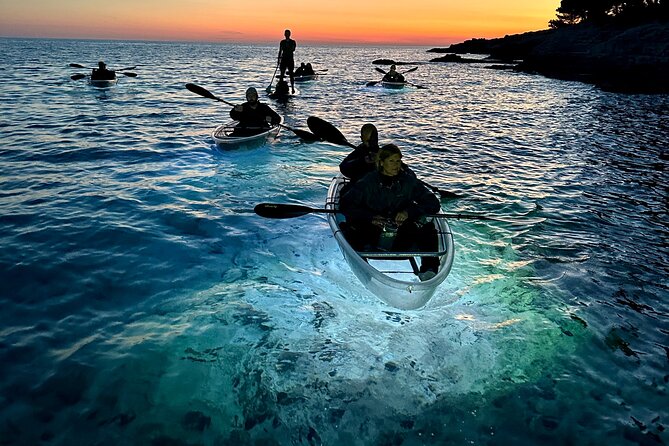 Clear Kayak Glow Night Tour - What guides may add along the way