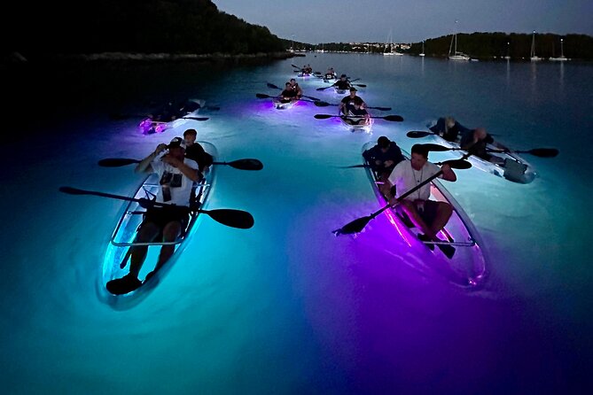 Clear Kayak Glow Night Tour - Starting at Histria beach in Verudela