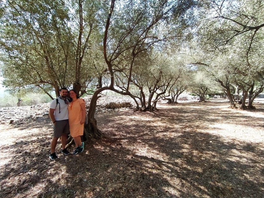Cres: Olive Oil Walking Tour with Tastings - The best time to book
