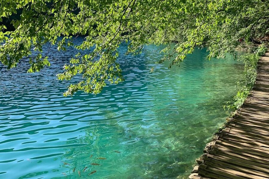 Croatia: Plitvice Lakes Private Tour with Hotel Pickup - Why the private format works at Plitvice