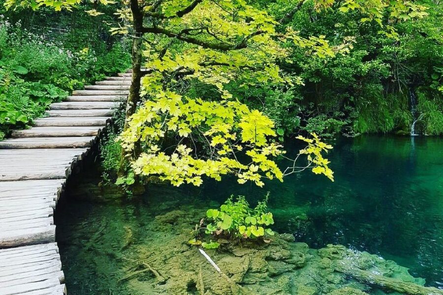Croatia: Plitvice Lakes Private Tour with Hotel Pickup - A useful break at the boat station