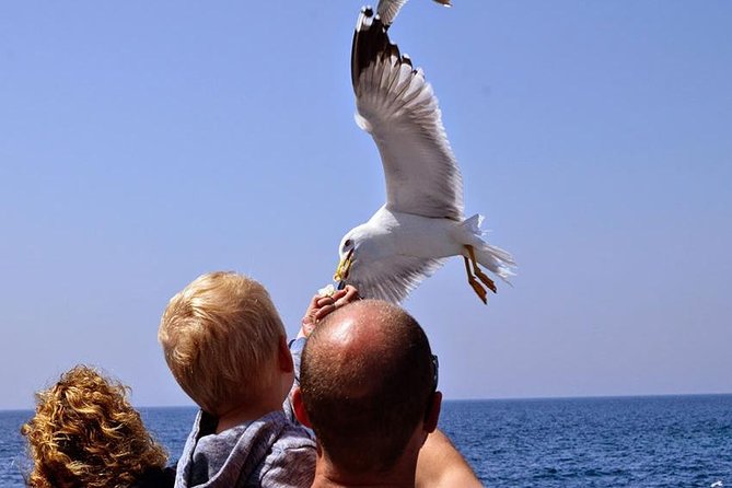 Day Cruise in the Elafiti Islands from Dubrovnik - What lunch and drinks are really worth